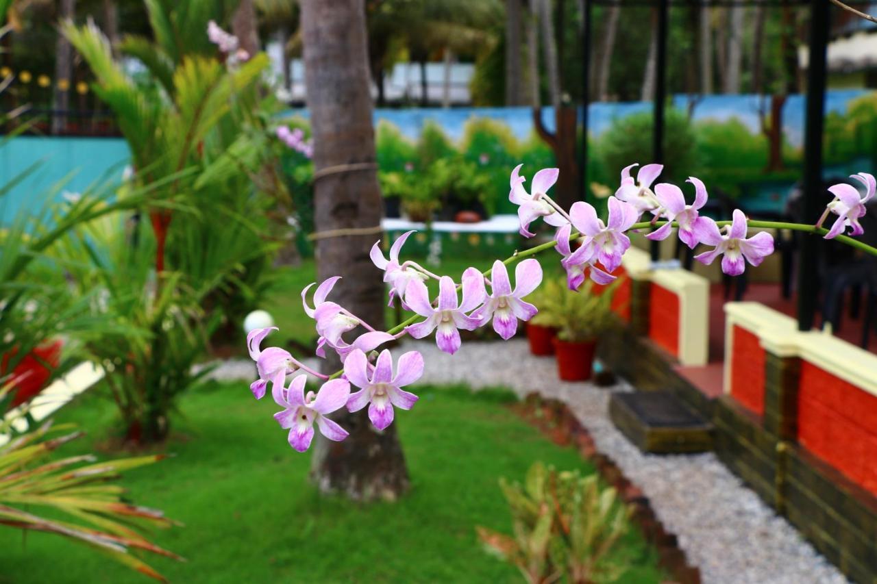 Divine Bliss Beach Resort Варкала Экстерьер фото
